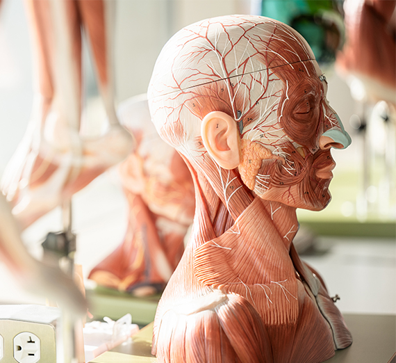 pills and syringes indicating drug use